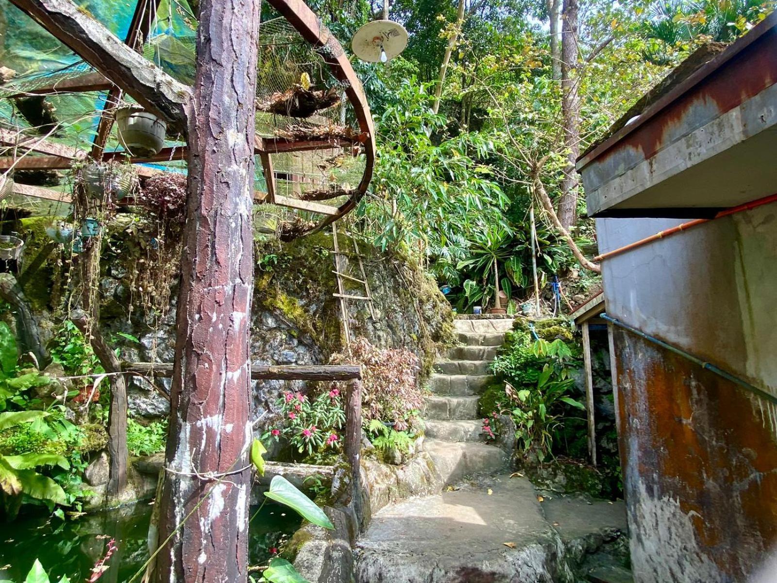 Lodge Baguio Mountain View Rw *
