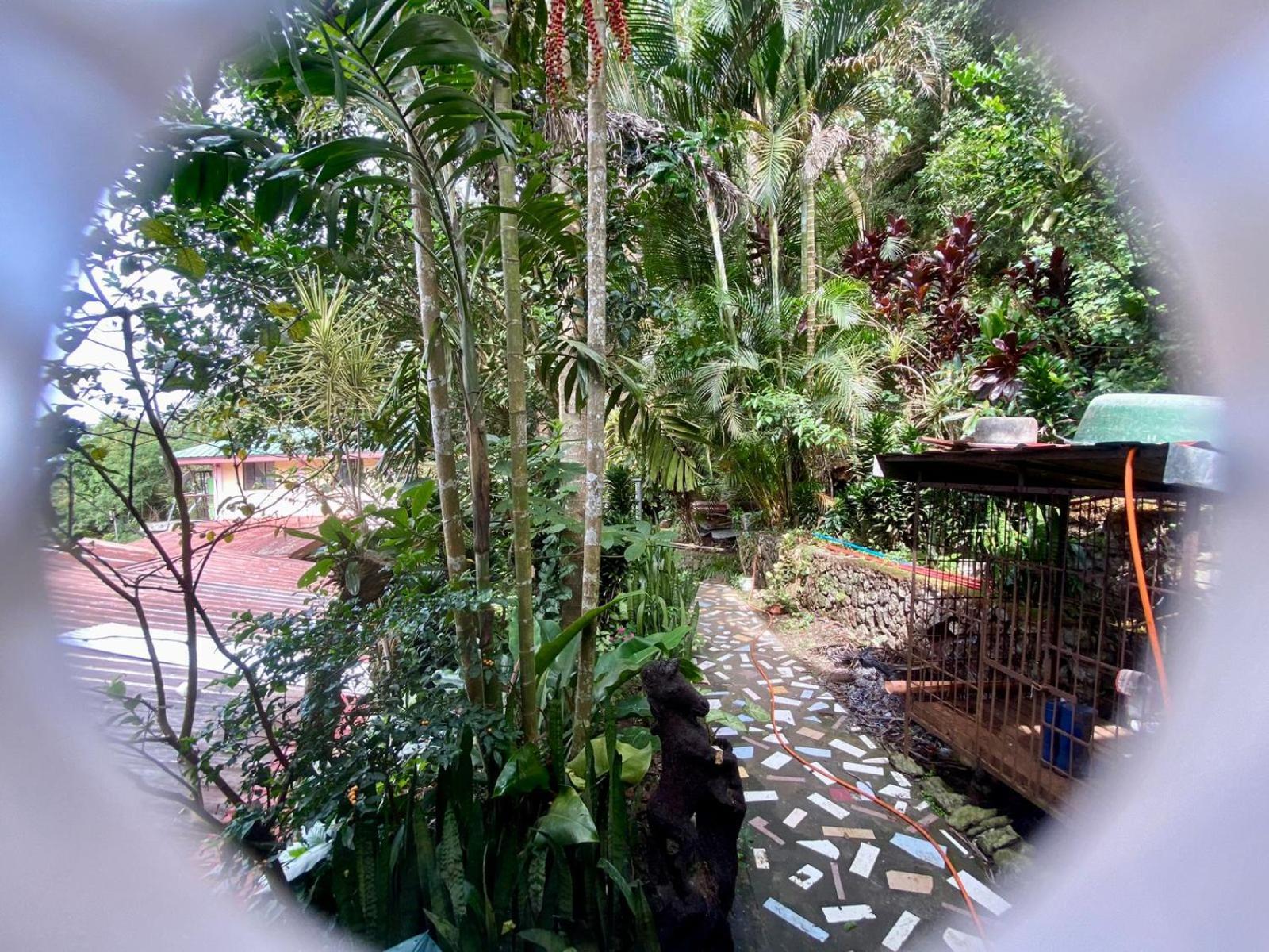 Lodge Baguio Mountain View Rw *